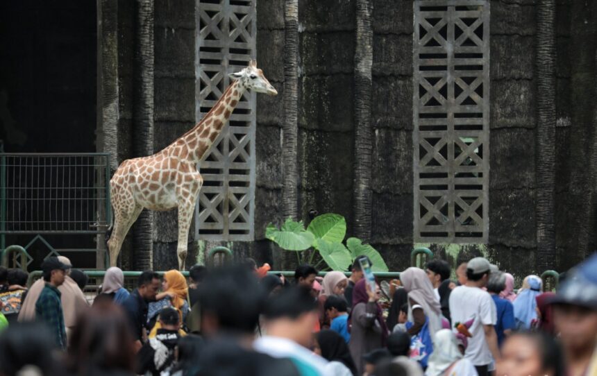 Taman Margasatwa Ragunan. Foto: Ist