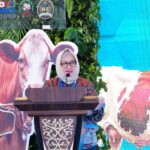 Deputi Bidang Usaha Pangan dan Pertanian, Kemenko Pangan, Widiastuti. Foto: DokHumas