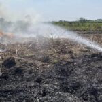 Upaya pemadaman di kawasan lahan tebu yang terbakar di Wilayah Kabupaten Mojokerto, Jawa Timur, Selasa (14/7/2026). Foto: BPBD Provinsi Jawa Timur