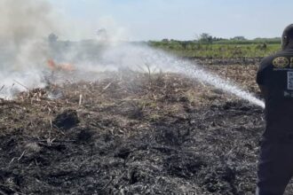 Upaya pemadaman di kawasan lahan tebu yang terbakar di Wilayah Kabupaten Mojokerto, Jawa Timur, Selasa (14/7/2026). Foto: BPBD Provinsi Jawa Timur