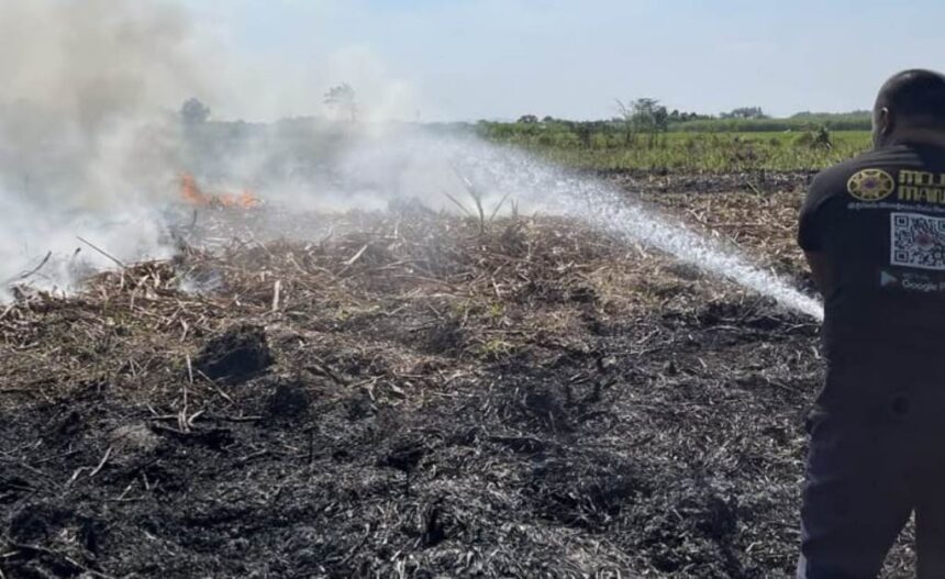 Upaya pemadaman di kawasan lahan tebu yang terbakar di Wilayah Kabupaten Mojokerto, Jawa Timur, Selasa (14/7/2026). Foto: BPBD Provinsi Jawa Timur