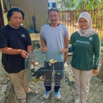 Warga menyerahkan Burung Kangkareng Perut Putih kepada BKSDA Jawa Timur. Foto: Dok ksdae.kehutanan.go.id