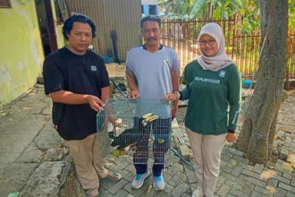 Warga menyerahkan Burung Kangkareng Perut Putih kepada BKSDA Jawa Timur. Foto: Dok ksdae.kehutanan.go.id