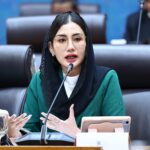 Anggota Komisi VII DPR RI Novita Hardini dalam Rapat Dengar Pendapat Umum RDPU Komisi VII DPR RI 20260703120956