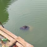 Penampakan mayat ditemukan warga di kali di kawasan Rawa Bambon, RW 04, Kelurahan Kelapa Dua Wetan, Kecamatan Ciracas, Jakarta Timur, Rabu (8/7/2026) siang. Foto: Ist
