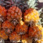 IMG 20260718 WA0061