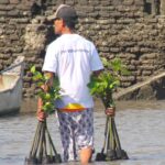 PT Bank Negara Indonesia (Persero) Tbk atau BNI menegaskan komitmennya mendukung pelestarian ekosistem pesisir melalui rehabilitasi mangrove yang sekaligus membuka peluang ekonomi bagi masyarakat. Foto: Dok BNI