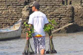 PT Bank Negara Indonesia (Persero) Tbk atau BNI menegaskan komitmennya mendukung pelestarian ekosistem pesisir melalui rehabilitasi mangrove yang sekaligus membuka peluang ekonomi bagi masyarakat. Foto: Dok BNI