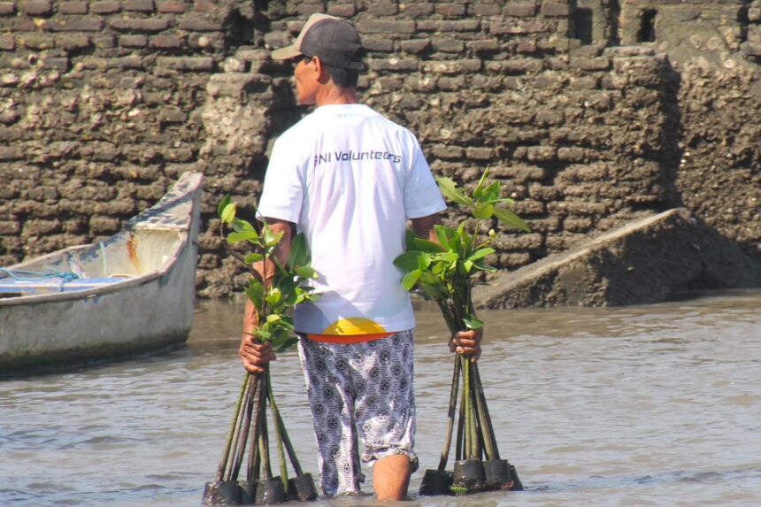 PT Bank Negara Indonesia (Persero) Tbk atau BNI menegaskan komitmennya mendukung pelestarian ekosistem pesisir melalui rehabilitasi mangrove yang sekaligus membuka peluang ekonomi bagi masyarakat. Foto: Dok BNI