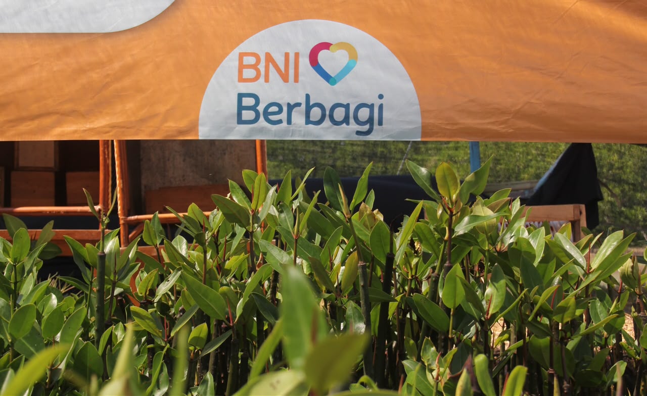 Hari Mangrove Sedunia Jadi Momentum BNI Perkuat Komitmen Pelestarian Lingkungan dan Ekonomi Pesisir 2 BNI Berbagi.