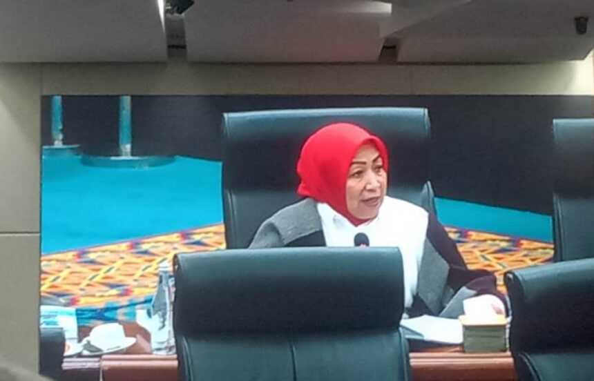 Anggota Fraksi PDIP DPRD DKI Jakarta, Wa Ode Herlina saat rapat Banggar DPRD DKI. Foto: Sofian/ipol.id