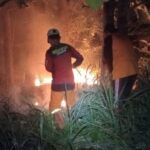 Personel BPBD Kabupaten Klaten padamkan api saat kebakaran lahan di area persawahan Dukuh Srimulyo, RT 15 RW 05, Desa Kaligawe, Kecamatan Pedan, Kabupaten Klaten, Jateng, Senin (27/7/2026). Foto: BPBD Kabupaten Klaten