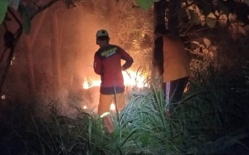 Personel BPBD Kabupaten Klaten padamkan api saat kebakaran lahan di area persawahan Dukuh Srimulyo, RT 15 RW 05, Desa Kaligawe, Kecamatan Pedan, Kabupaten Klaten, Jateng, Senin (27/7/2026). Foto: BPBD Kabupaten Klaten