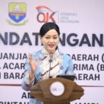Ketua Dewan Komisioner OJK Friderica Widyasari Dewi