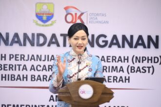 Ketua Dewan Komisioner OJK Friderica Widyasari Dewi