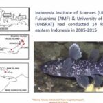 ikan purba