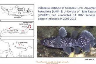 ikan purba
