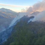 Kebakaran di Kawasan Gunung Bromo meluas sampai ke wilayah Kabupaten Pasuruan. Foto: Pemkab Pasuruan